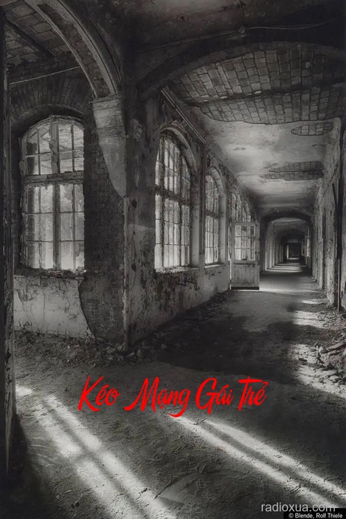 Kéo Mạng Gái Trẻ – Cáo Chín Đuôi