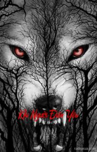 Khi Người Điên Yêu – Tình Yêu Từ Địa Ngục