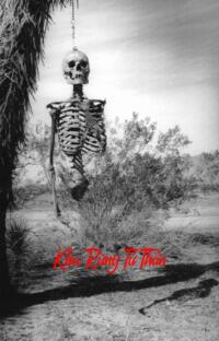 Khu Rừng Tử Thần – Nơi Hồi Sinh Của Những Linh Hồn Lạc Lối