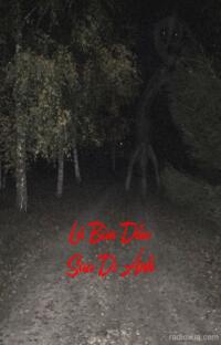 Lá Bùa Dấu Sau Di Ảnh – Miếu Hoang