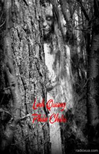 Linh Quang Phản Chiếu – Bóng tối soi gương