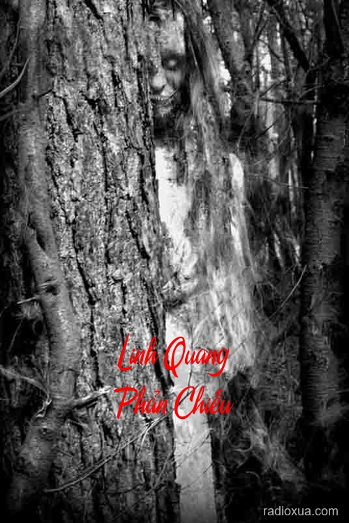 Linh Quang Phản Chiếu – Bóng tối soi gương