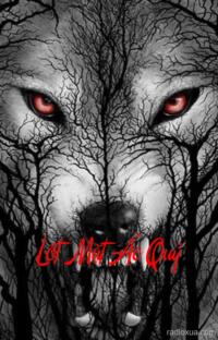 Lột Mặt Ác Quỷ – Nhìn Trộm