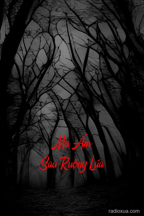 Ma Ám Sau Ruộng Lúa – Bóng Ma Lúa Chín
