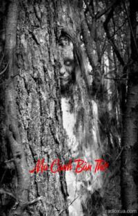 Ma Cạnh Bàn Thờ – Nguyền Rủa Từ Cõi Âm