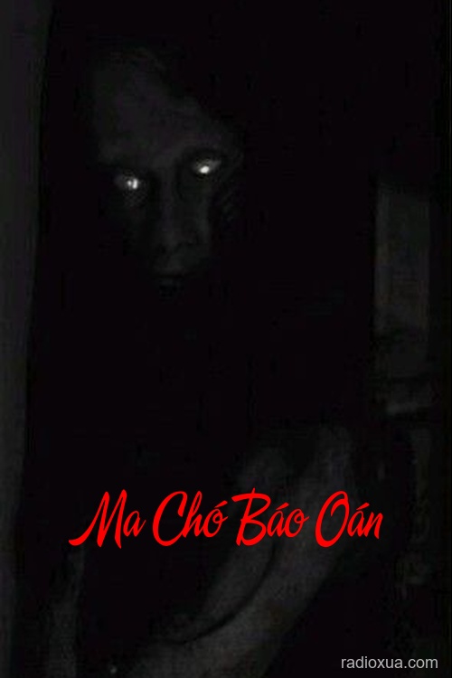 Ma Chó Báo Oán – Lời Nguyền Từ Địa Ngục