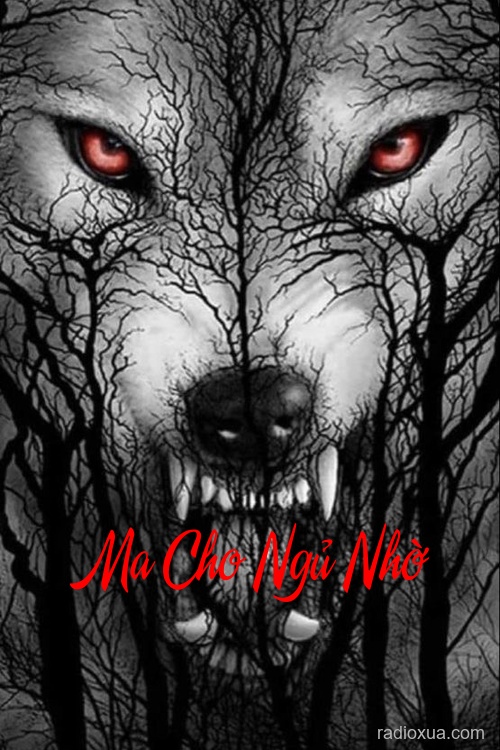 Ma Cho Ngủ Nhờ – Đêm nào cũng ám ảnh
