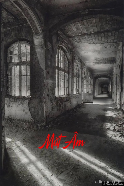 Mắt Âm – Bóng tối nuốt chửng