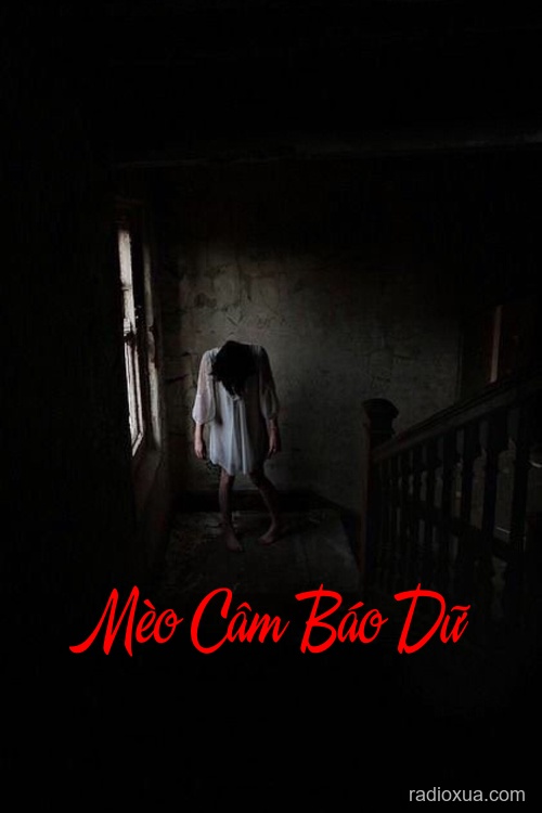 Mèo Câm Báo Dữ – Cây Đa Ma Ám