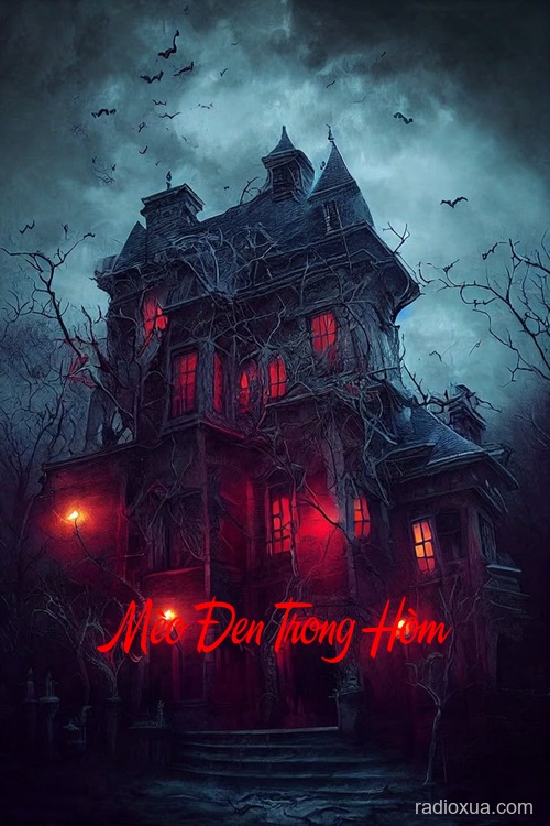 Mèo Đen Trong Hòm – Nghĩa Địa Hoang