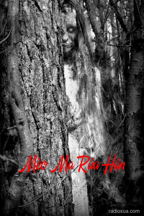 Mèo Ma Rửa Hận – Lời Nguyền Từ Đêm