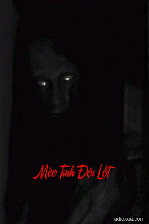 Mèo Tinh Đội Lốt – Hồn Ma Báo Oán