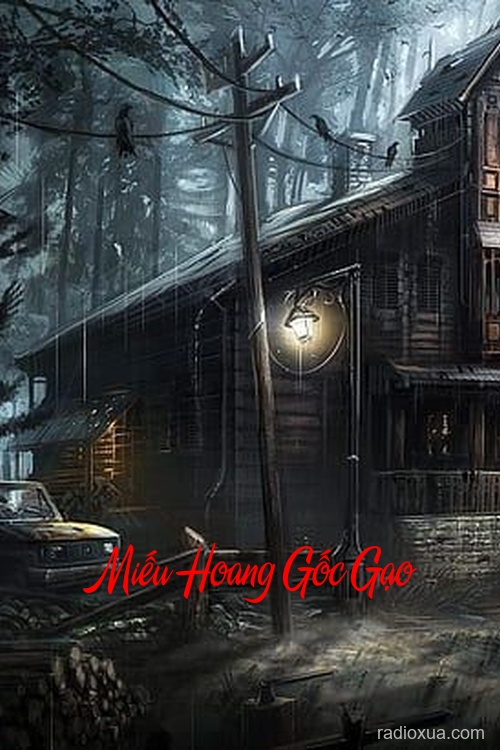 Miếu Hoang Gốc Gạo – Hồn Ma Vô Chủ
