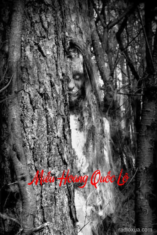 Miếu Hoang Quốc Lộ – Ngõ Lối Tử Kỳ