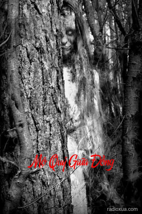 Mộ Quỷ Giữa Đồng – Hồn Ma Gọi Tên