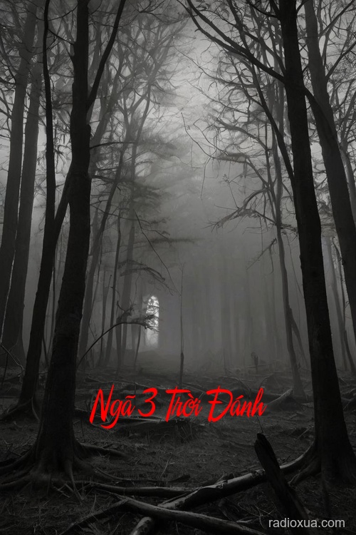 Ngã 3 Trời Đánh – Ngã rẽ của bóng ma Ngã 3 Trời Đánh – Ngã rẽ của bóng ma