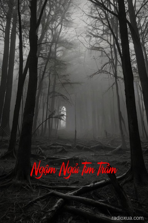 Ngậm Ngải Tìm Trầm – Hồn Ma Tìm Kiếm