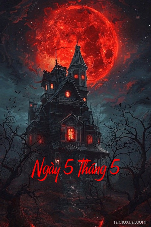 Ngày 5 Tháng 5 – Giày Thêu Hoa