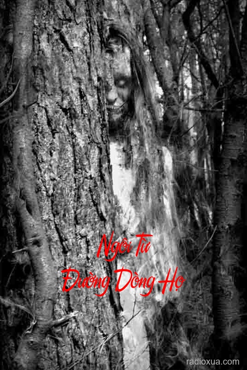 Ngôi Từ Đường Dòng Họ – Mèo Đen