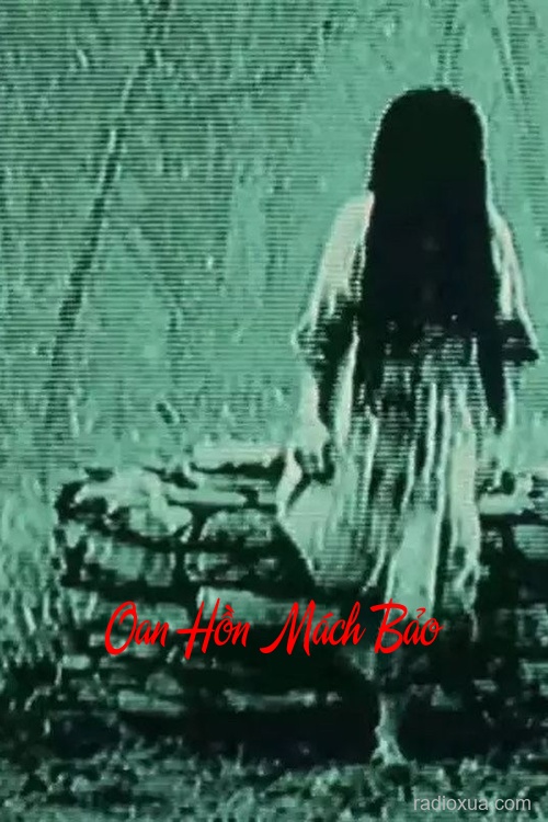 Oan Hồn Mách Bảo – Lời Nguyền Từ Quá Khứ