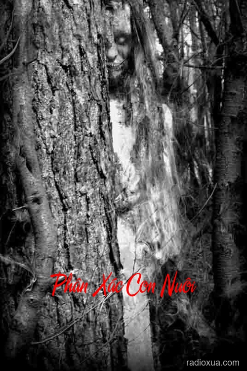 Phân Xác Con Nuôi – Hồi sinh từ tro tàn