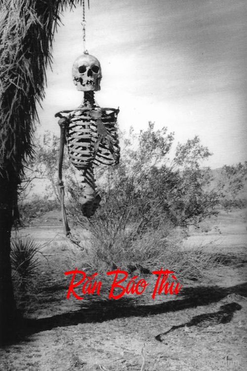 Rắn Báo Thù – Máu tanh mùi trả thù