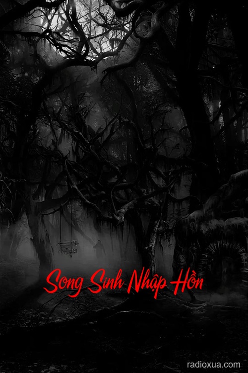 Song Sinh Nhập Hồn – Bóng Ma Song Sinh