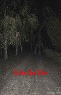 Tai Nạn Giữa Đêm – Oan Hồn Dưới Giếng