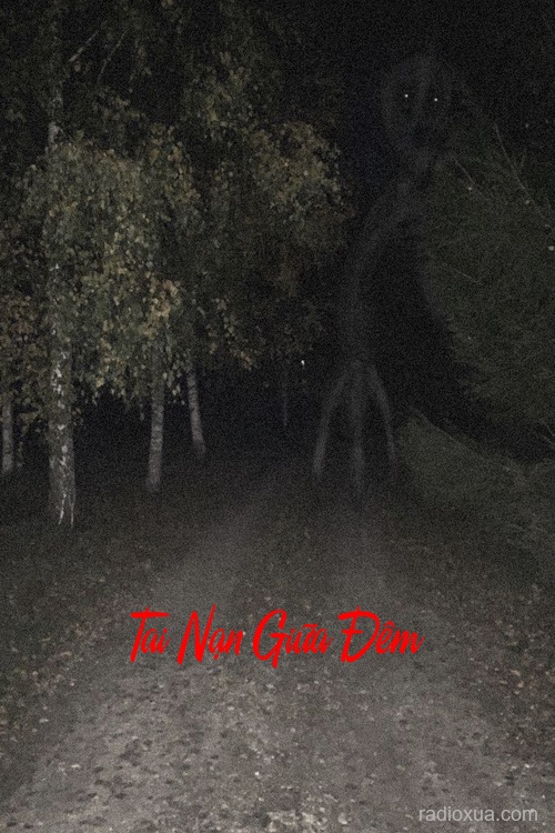 Tai Nạn Giữa Đêm – Oan Hồn Dưới Giếng