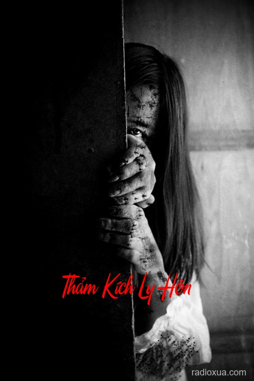 Thảm Kích Ly Hôn – Hận Thù Vô Hình