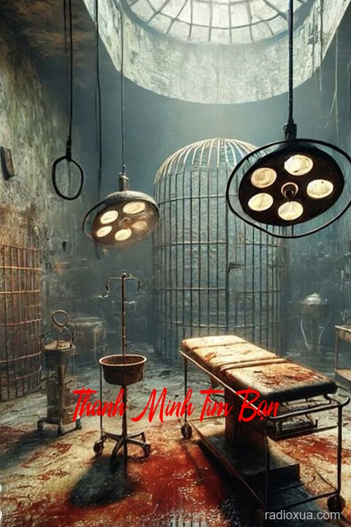 Thanh Minh Tìm Bạn