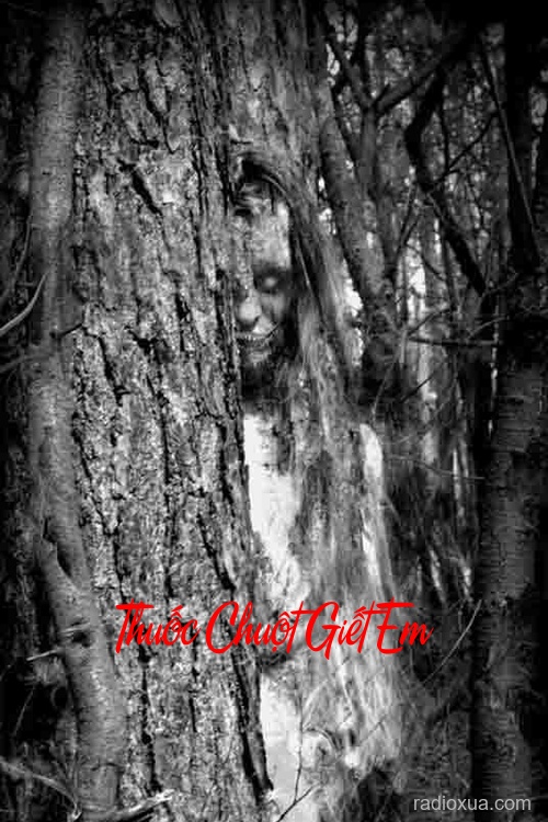 Thuốc Chuột Giết Em – Hồi Kết Đêm Khuya