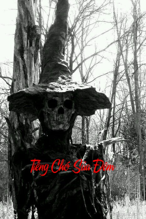 Tiếng Chó Sủa Đêm