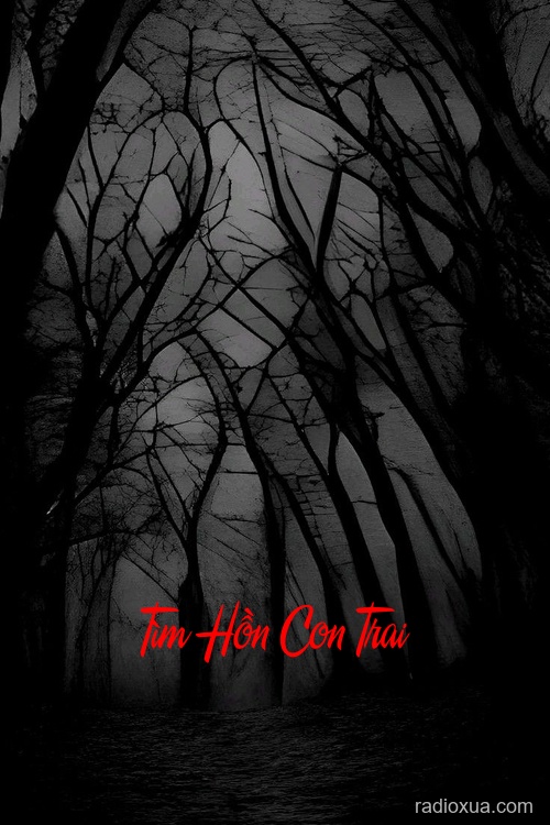 Tìm Hồn Con Trai – Tiếng Gọi Từ Cõi Âm