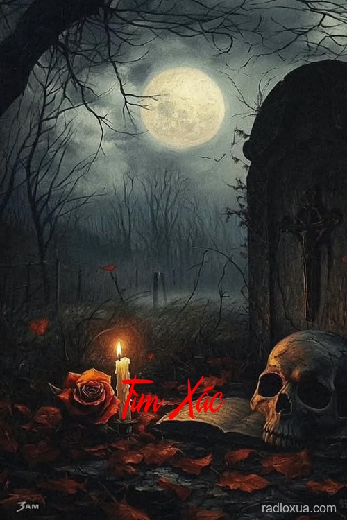 Tìm Xác – Hồi sinh từ tro tàn