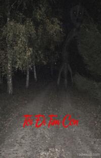 Tôi Đi Tìm Con – Mất tích trong bóng tối