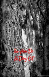 Trại Hòm Đo Ni Đóng Cốt – Ngôi Nhà Hoang