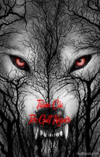 Trâm Cài Tóc Giết Người – Lời Nguyền Từ Quá Khứ