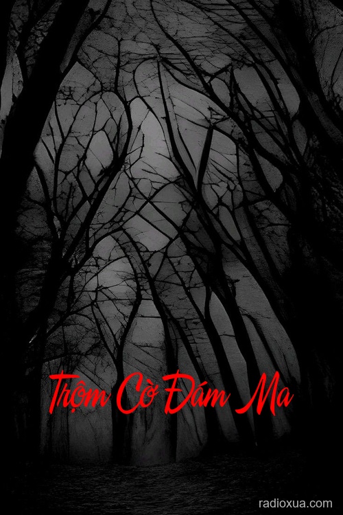 Trộm Cờ Đám Ma – Lời Nguyền Từ Mộ