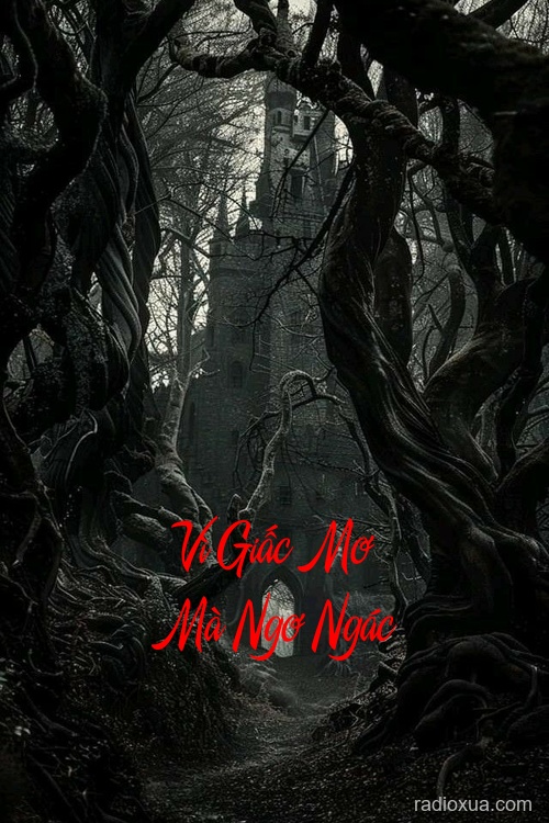 Vì Giấc Mơ Mà Ngơ Ngác – Ai Ở Sau Lưng