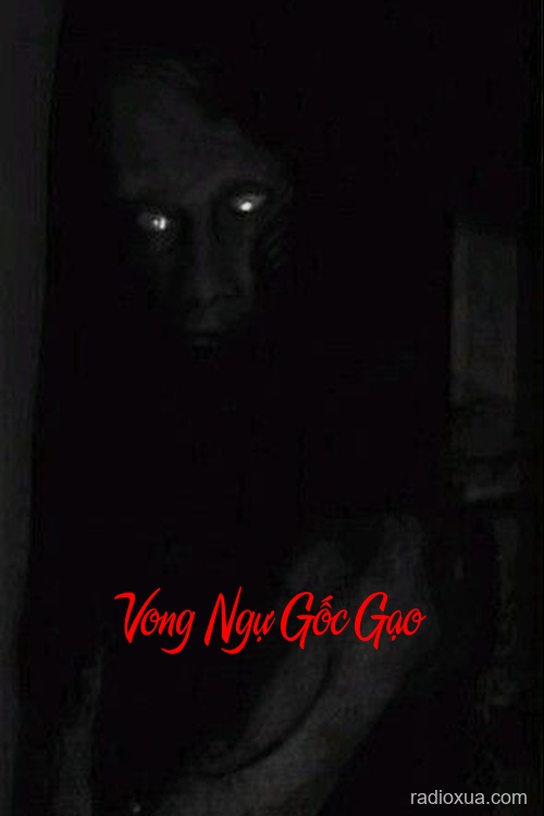 Vong Ngự Gốc Gạo – Hồn Ma Lạc Lối