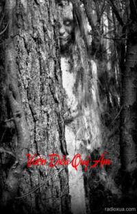 Vườn Điều Quỷ Ám – Bóng Ma Trong Sương