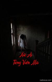 Xác Ai Trong Vườn Mía – Bóng Mát Nuốt Chửng