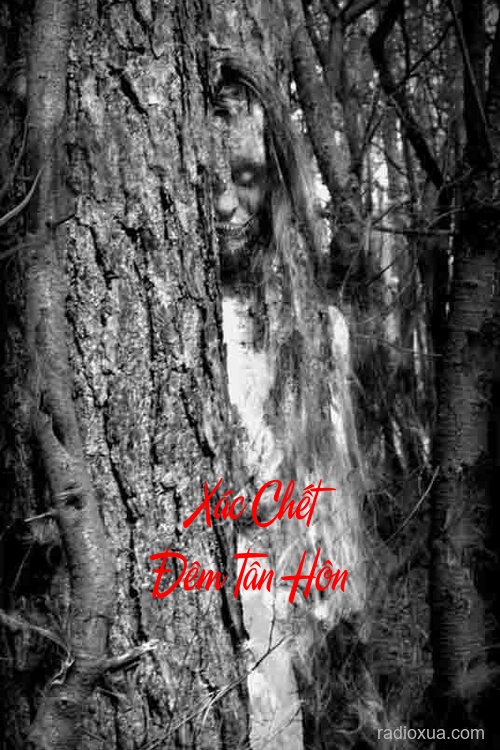 Xác Chết Đêm Tân Hôn – Máu nhuộm đêm cưới