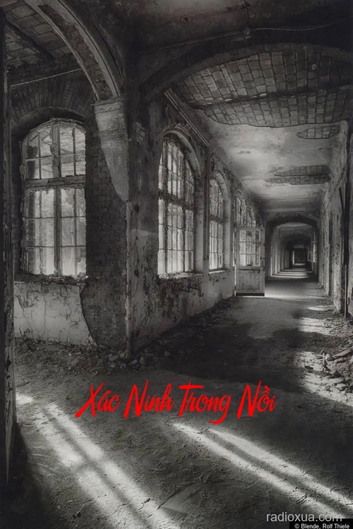 Xác Ninh Trong Nồi – Thịt Người Trong Bóng