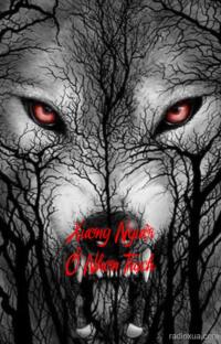 Xương Người Ở Nhơn Trạch – Máu Vấy Đồng Xanh